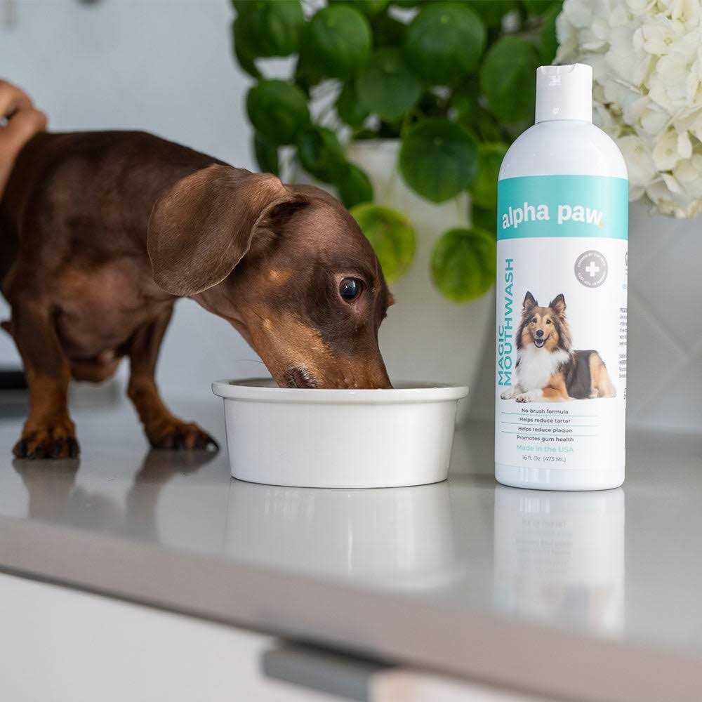Dog Mouthwash R6615