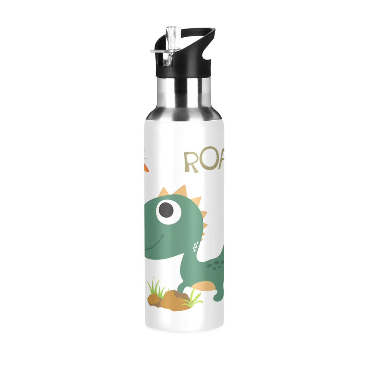 Stainless Steel Insulated Water Bottle with Straw Lid D785716