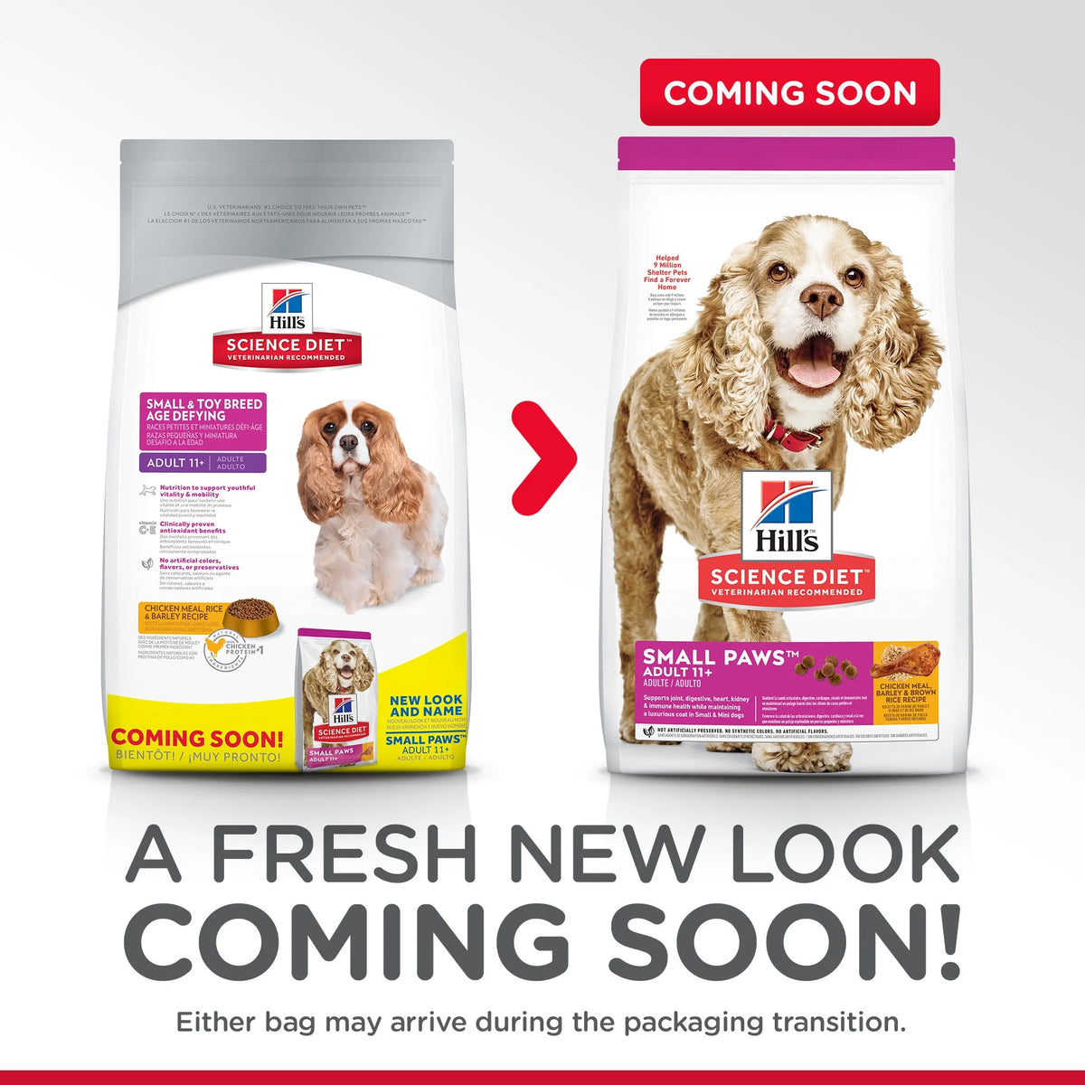 Chicken Meal Rice & Barley Recipe Dry Dog Food, 4.5 lb bag C567