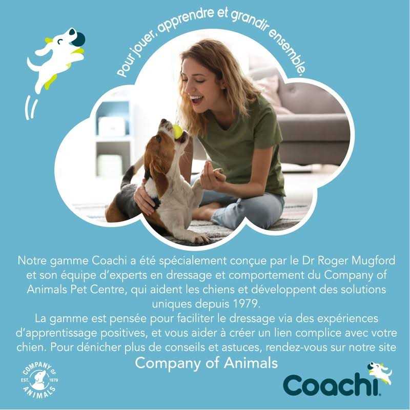 Dog Training Bells K8177