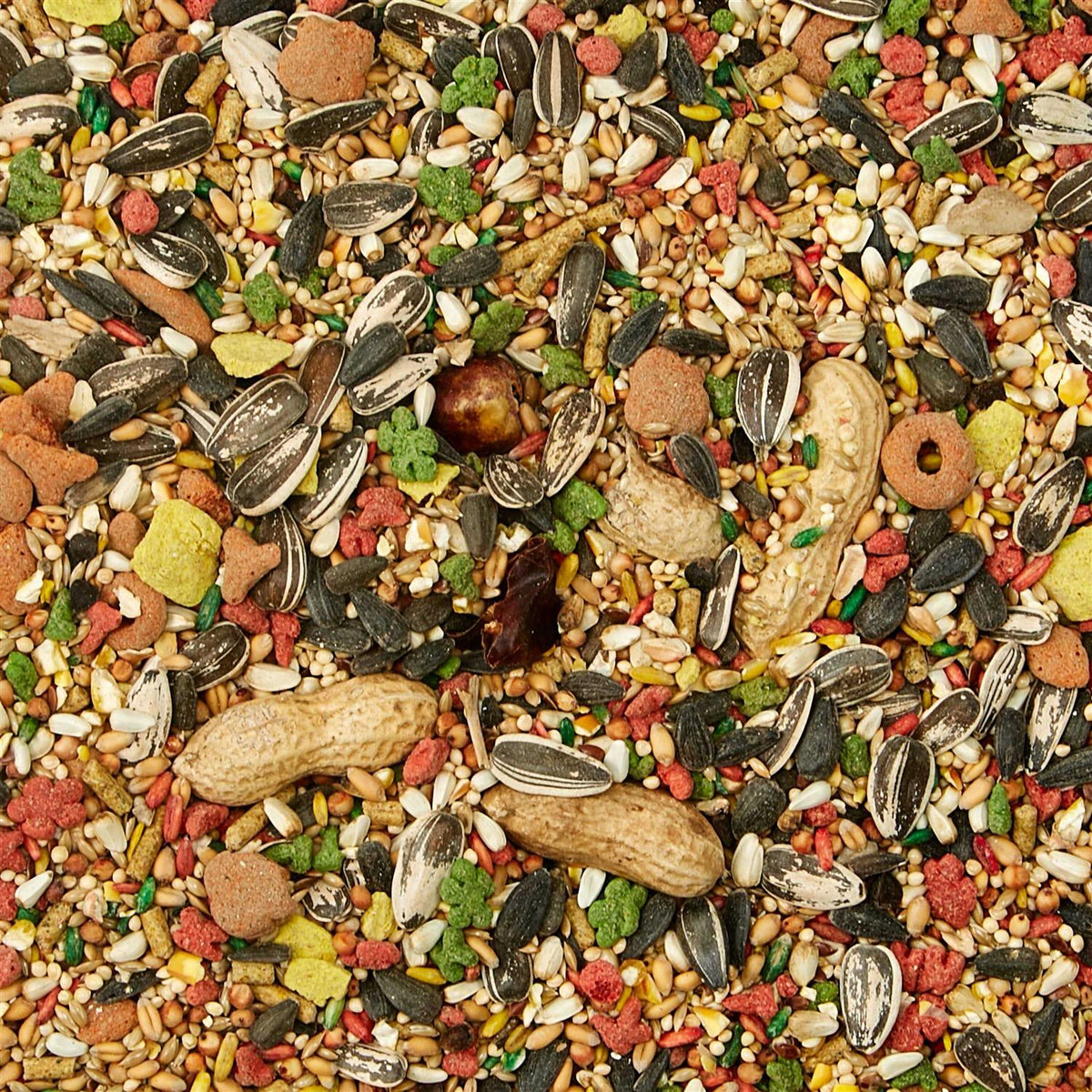 Conure Food Y999936