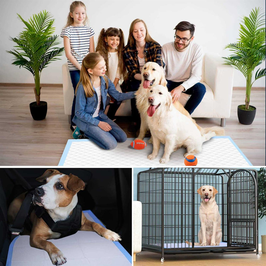 XXL 30x36 Heavy Absorbent Pet Training Pee Pads U197713