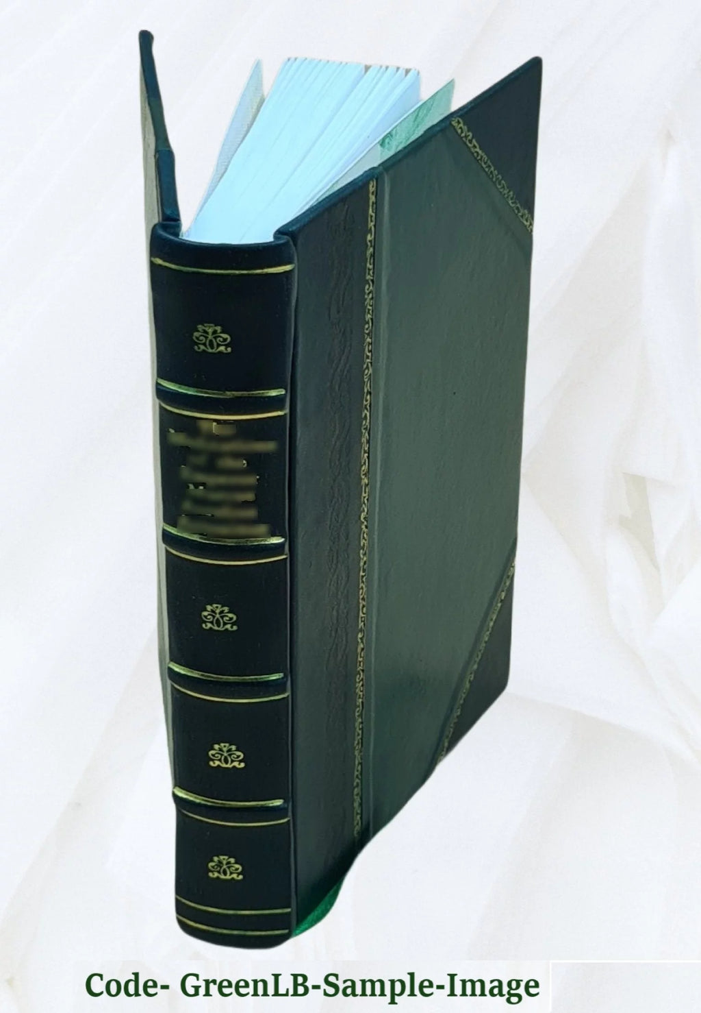Leather Bound Q67195