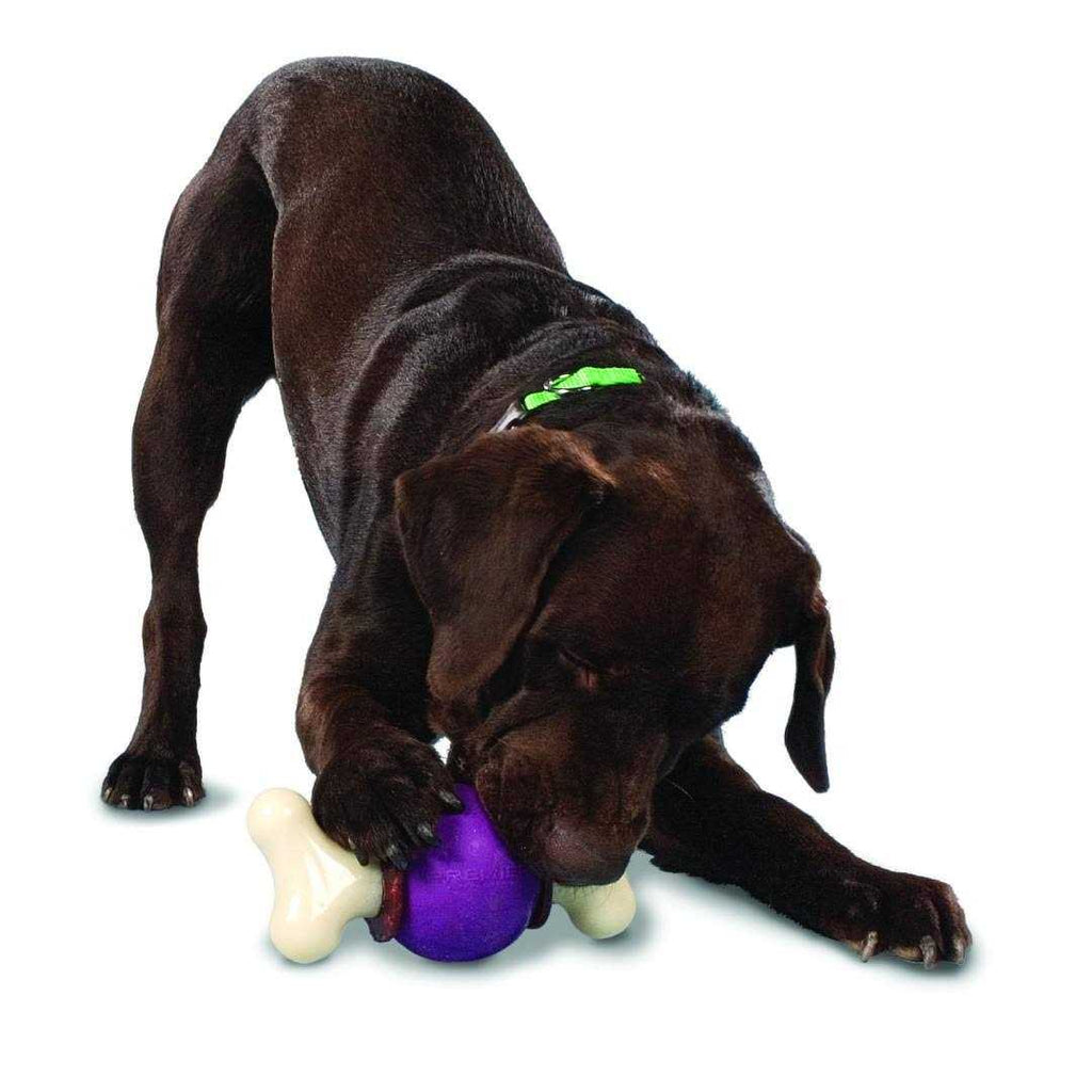 Bouncy Bone D7706