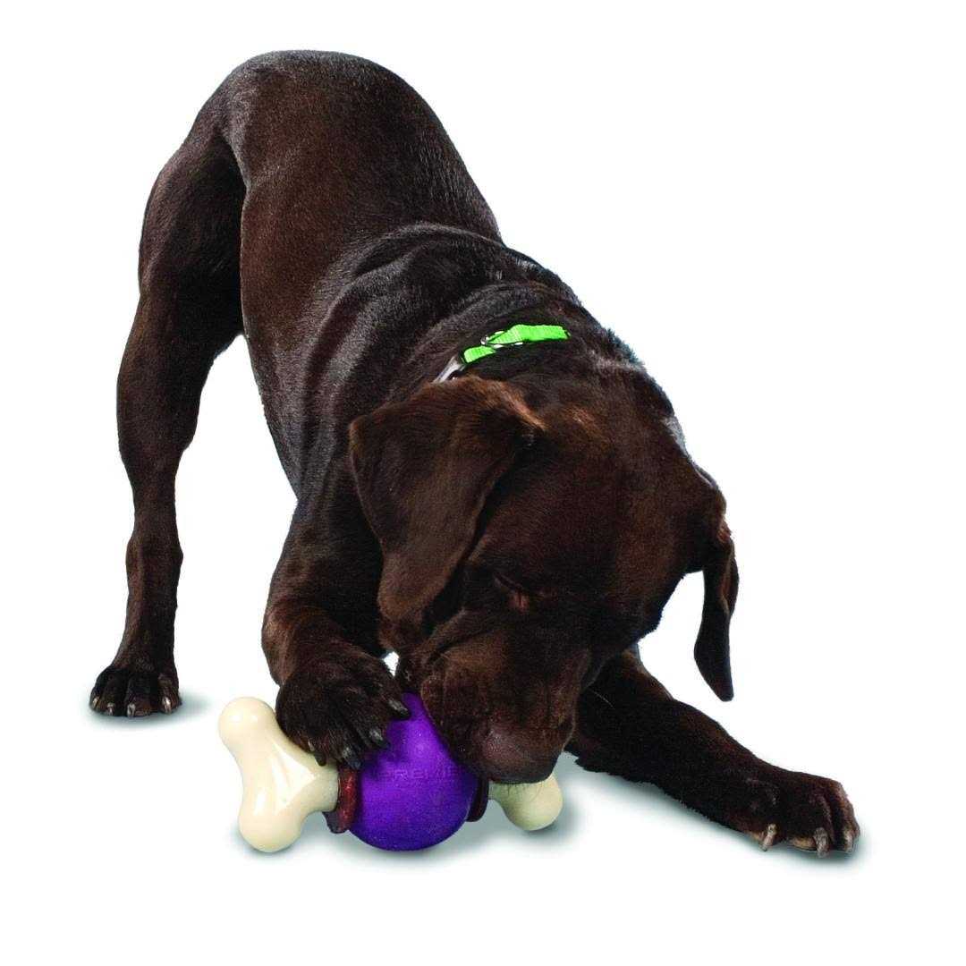 Bouncy Bone D7706